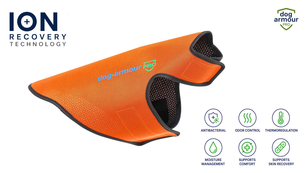 Recovery Vest for Dogs | Advanced Recovery with ION Technology