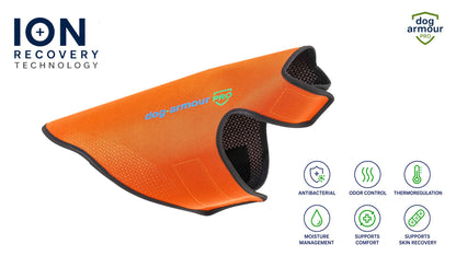 Recovery Vest for Dogs | Advanced Recovery with ION Technology