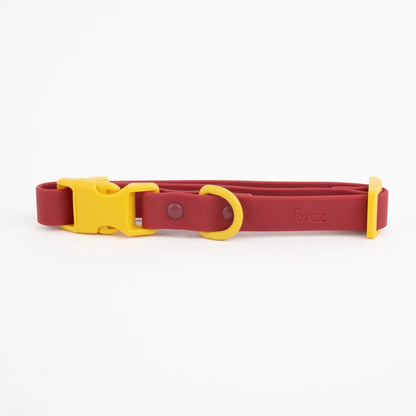 The Fritz Collar