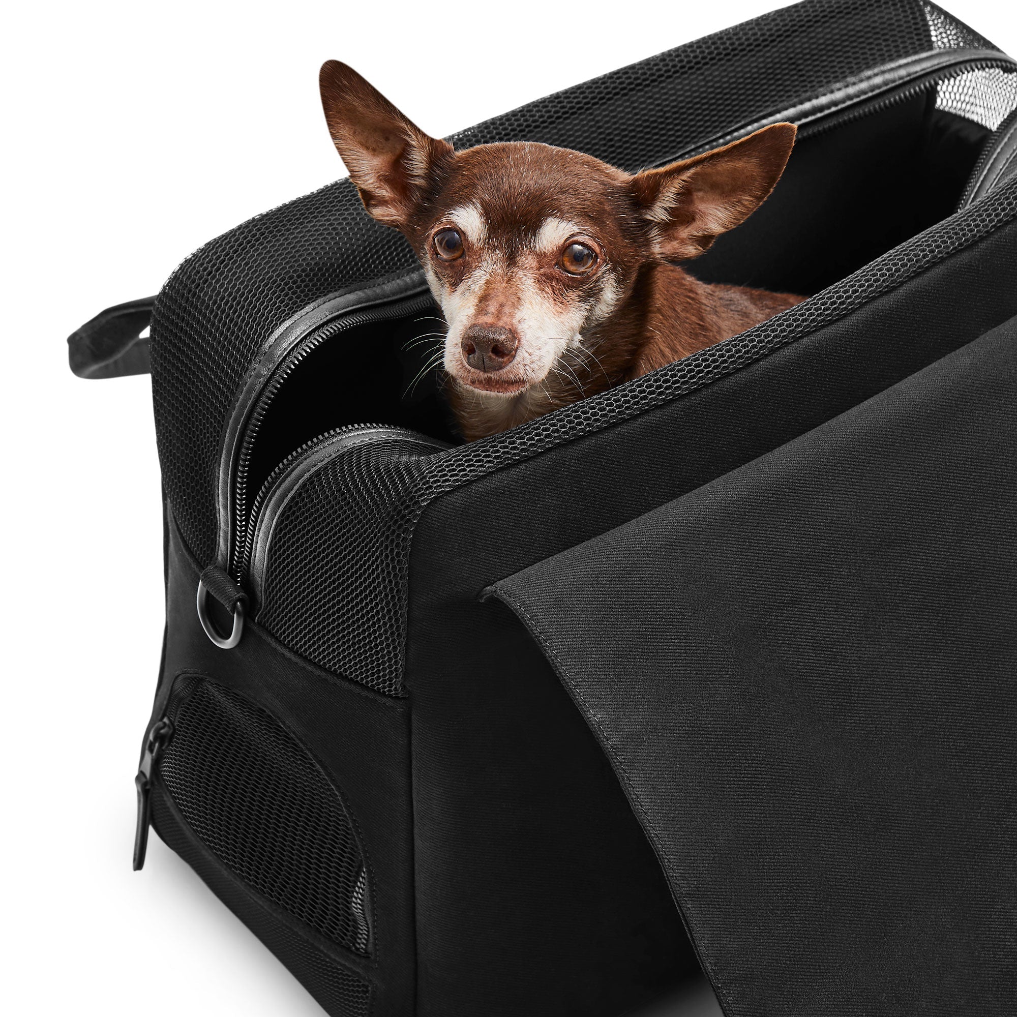 Destination Tote - Black