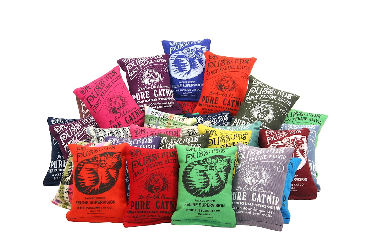 Regular Logo Pillows