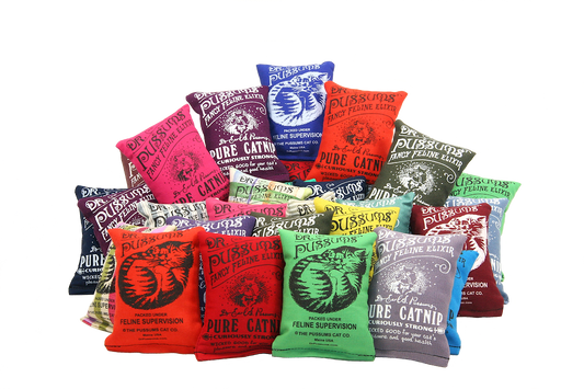 Regular Logo Pillows