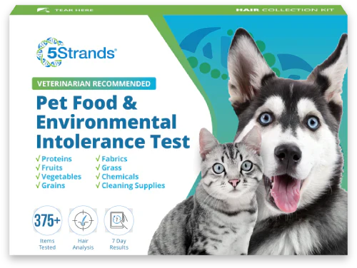 Easy Home Collection Kit Allergy Testing (Hair) Dogs