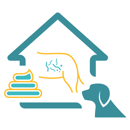 Easy Home Kit: Affordable Pet Labs Basic Fecal Diagnostic Test For Dogs