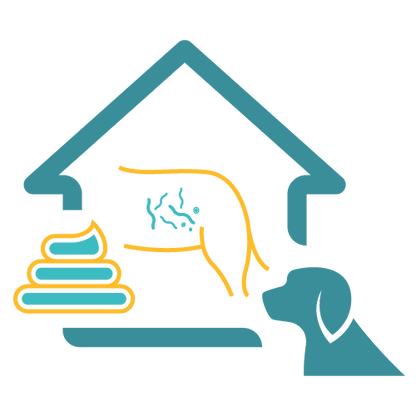 Easy Home Kit: Affordable Pet Labs Basic Fecal Diagnostic Test For Dogs