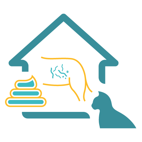 Easy Home Kit: Affordable Pet Labs Basic Fecal Test For Cats