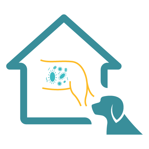 Easy Home Kit: Affordable Pet Labs Biome Diagnostic Test for Dogs (Doggy Biome)