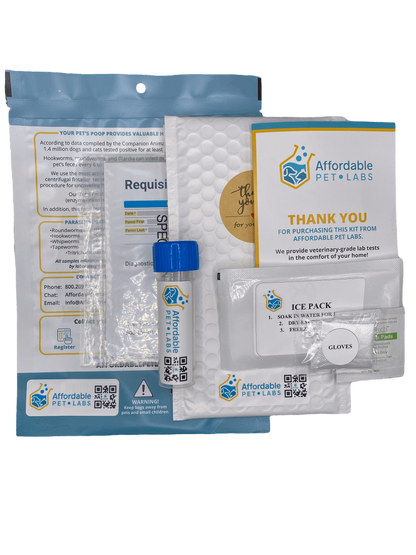 Easy Home Kit: Affordable Pet Labs Combo Complete Urinalysis & Fecal Test For Cats