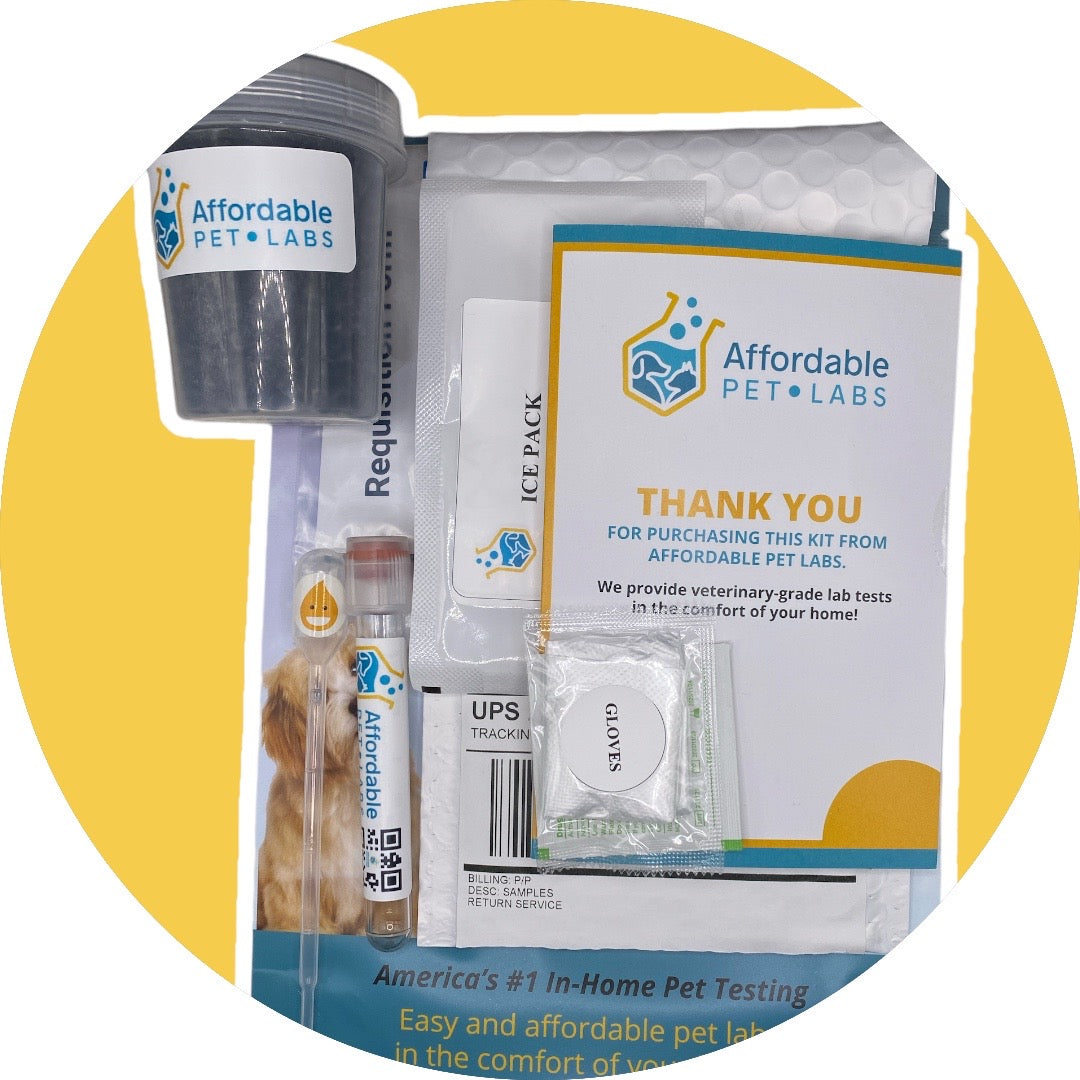 Easy Home Kit: Affordable Pet Labs Complete Urinalysis with Microscopic Evaluation For A Cat