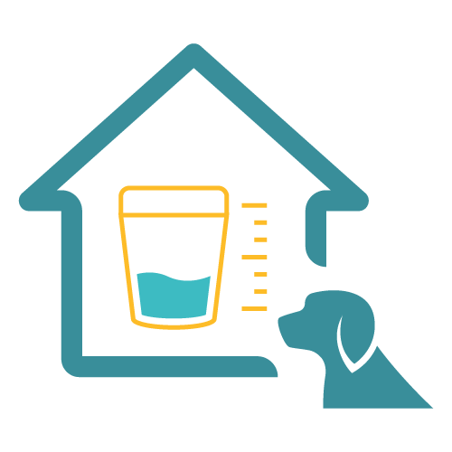 Easy Home Kit: Affordable Pet Labs Complete Urinalysis with Microscopic Evaluation For Dogs