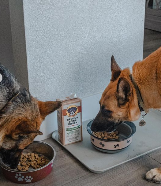 Brutus Bone Broth - Chicken