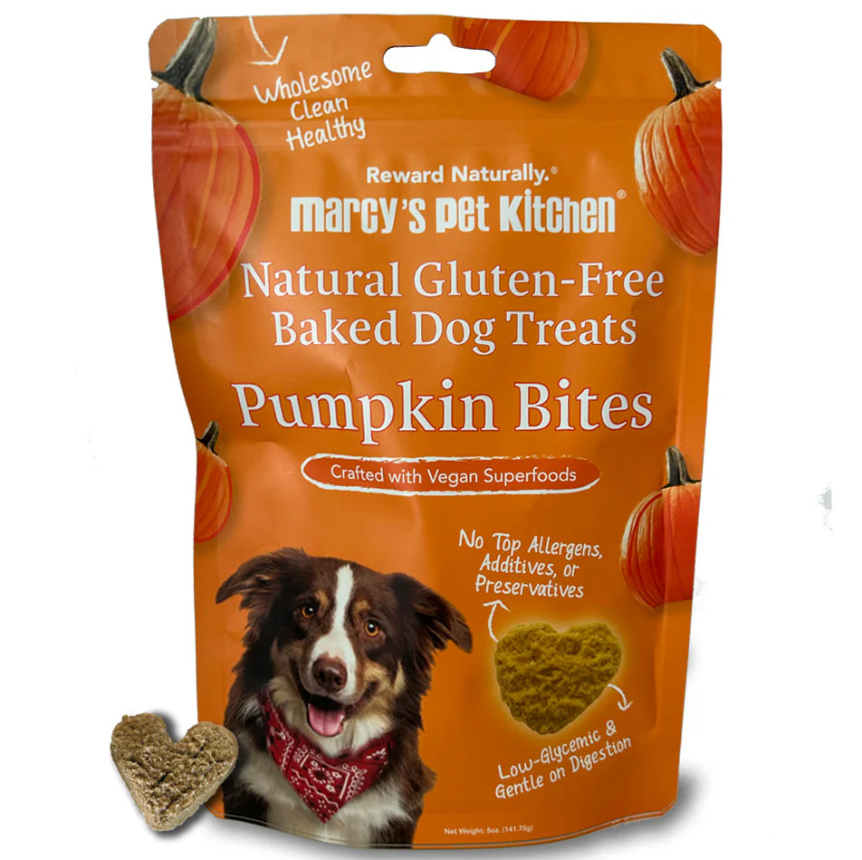 All-Natural Vegan Pumpkin Biscuit Dog Treats