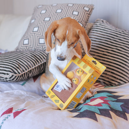 Woof² Egg Puff/ Waffle 2-in-1 Nose-work Pet Toy
