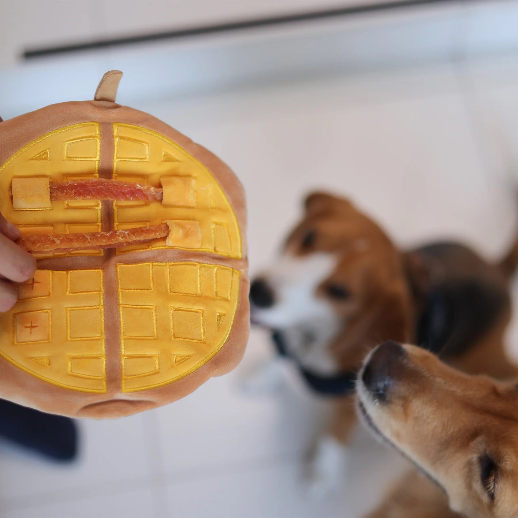 Woof² Egg Puff/ Waffle 2-in-1 Nose-work Pet Toy