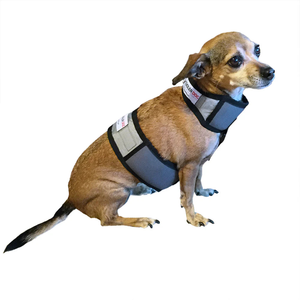 CoolerDog Dog Cooling Vest and Collar