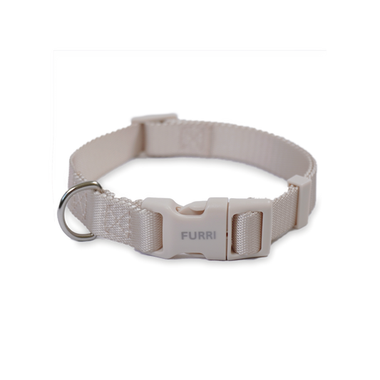 The One Collar