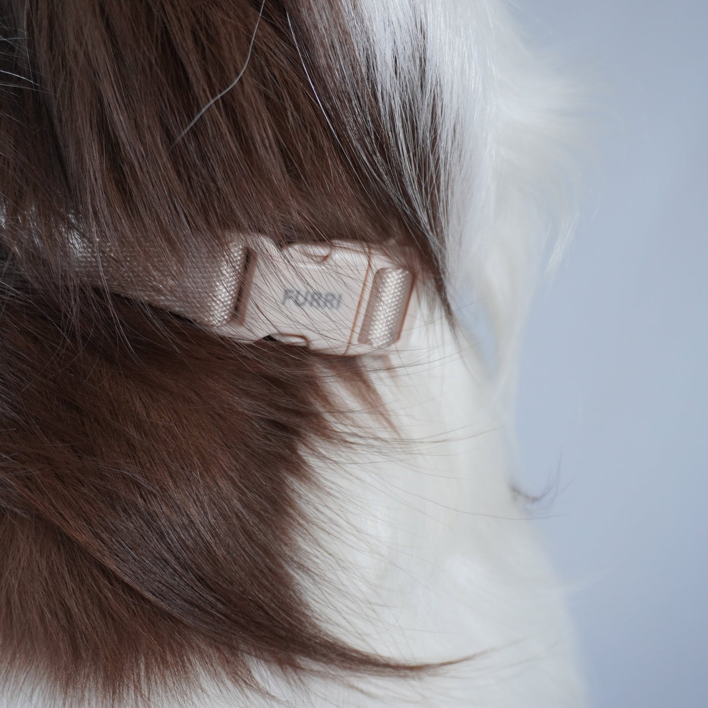 The One Collar