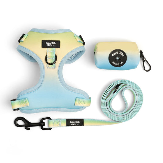 Pastel Breeze Walking Set