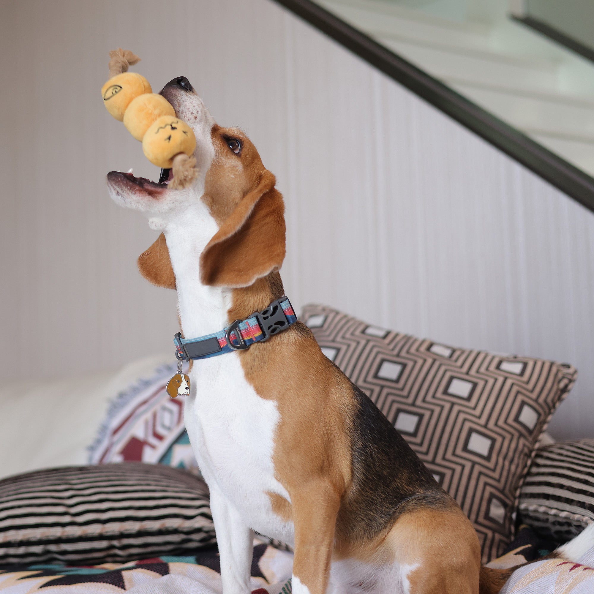 Woof² Curry Fishball Pet Toy