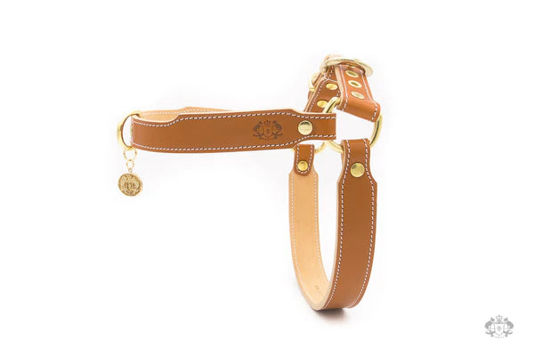 Florence Saddle Brown Leather Dog Harness