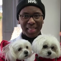 Lenny · Little L's Pet Bakery