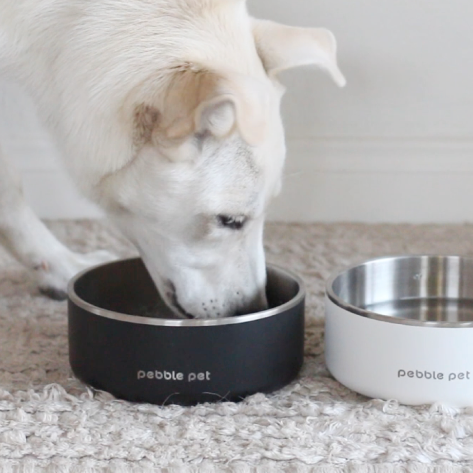 Try  design-minded pet products