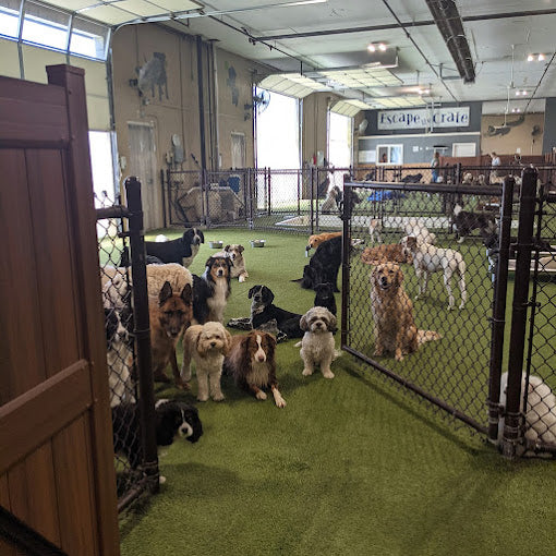 Escape the Crate - Garden City