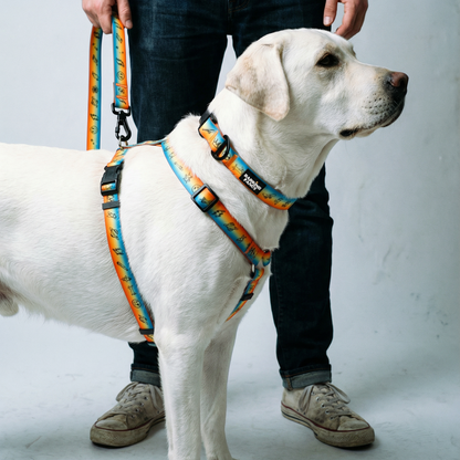 Doodles Print Waterproof Dog Harness - Orange Gradient