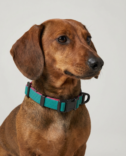 Hexagon Collar - Waterproof Collar For Small Dogs