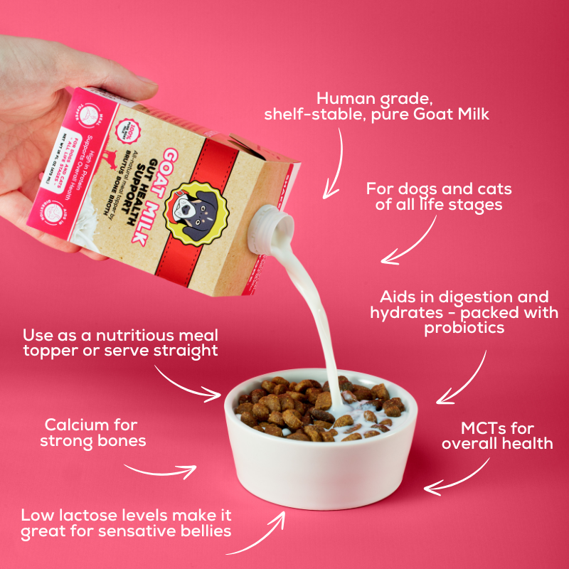 Goat Milk by Brutus Broth