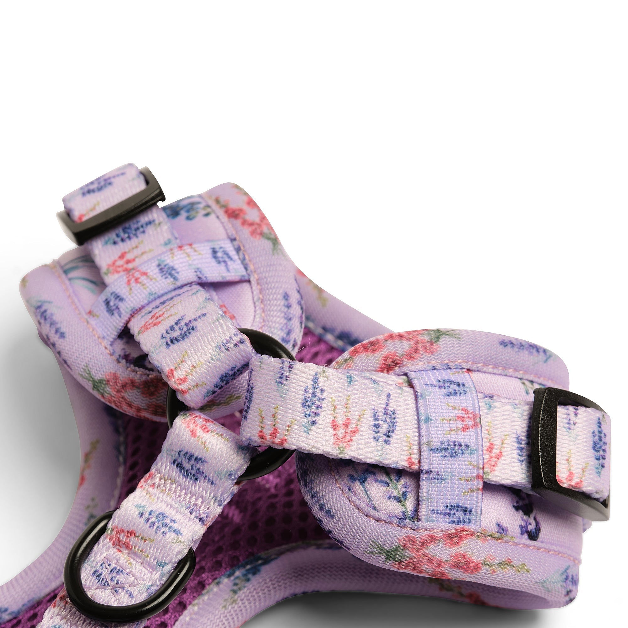 Lavender Fields Adjustable Harness