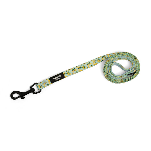 Lemon Drop Leash
