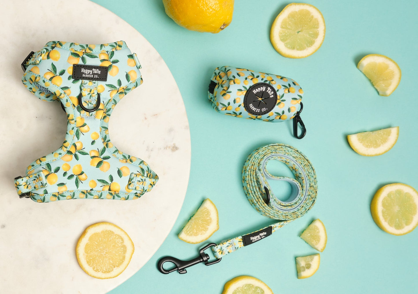 Lemon Drop Leash
