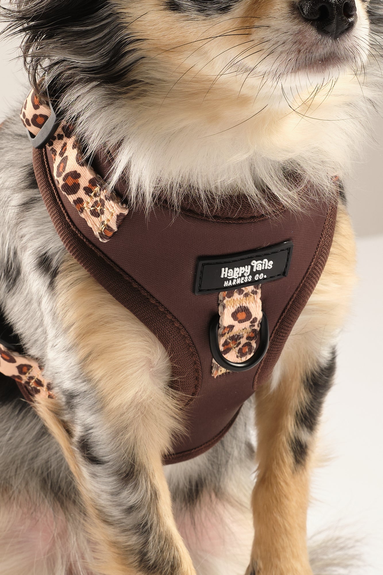 Run Wild Adjustable Harness