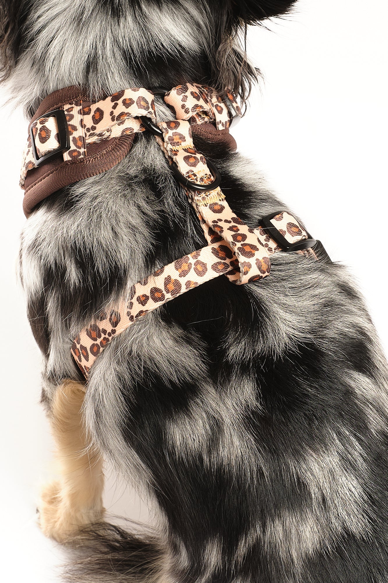 Run Wild Adjustable Harness