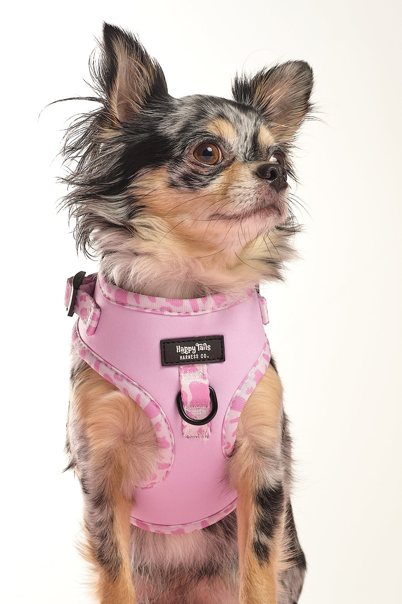 Pink Pastures Adjustable Harness