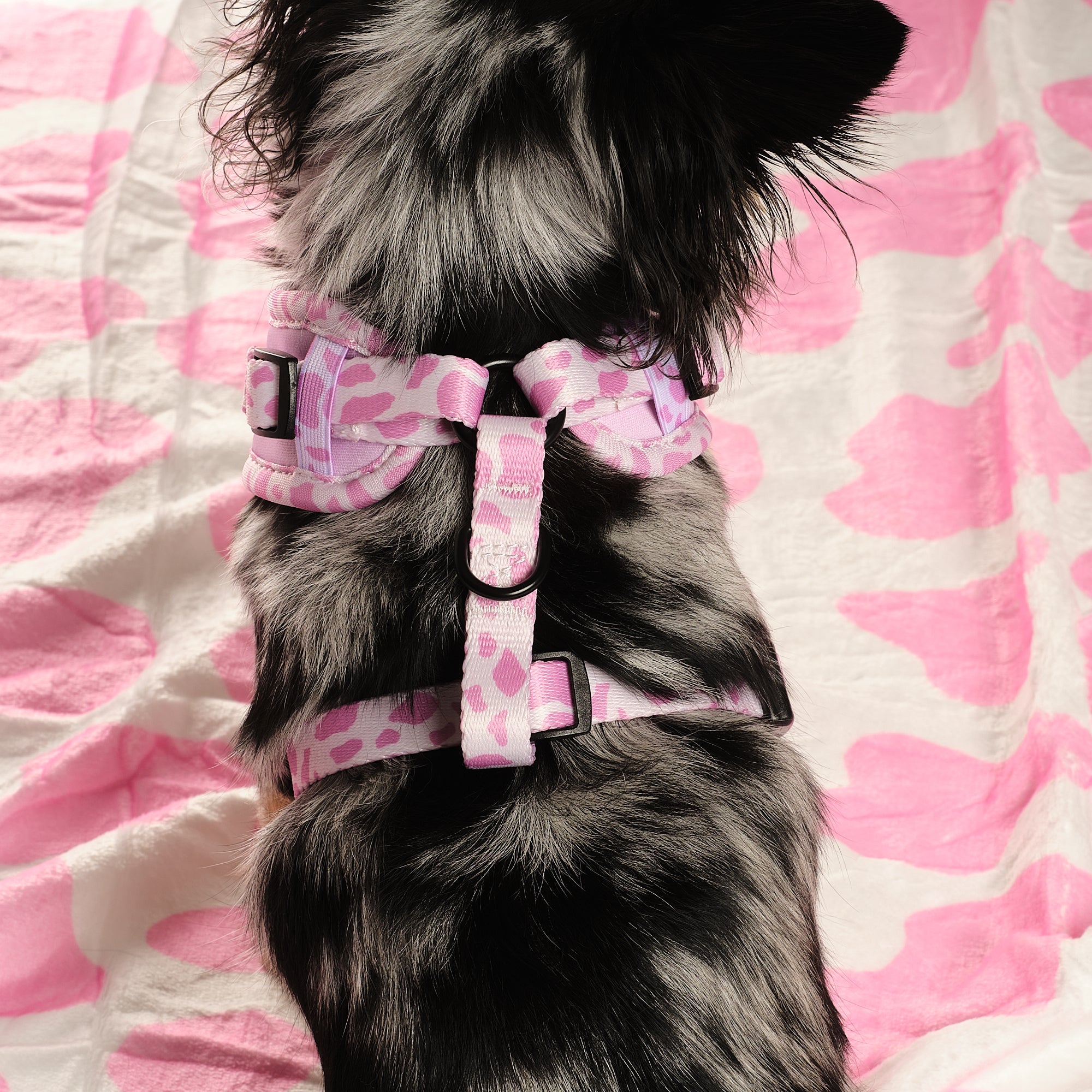 Pink Pastures Adjustable Harness