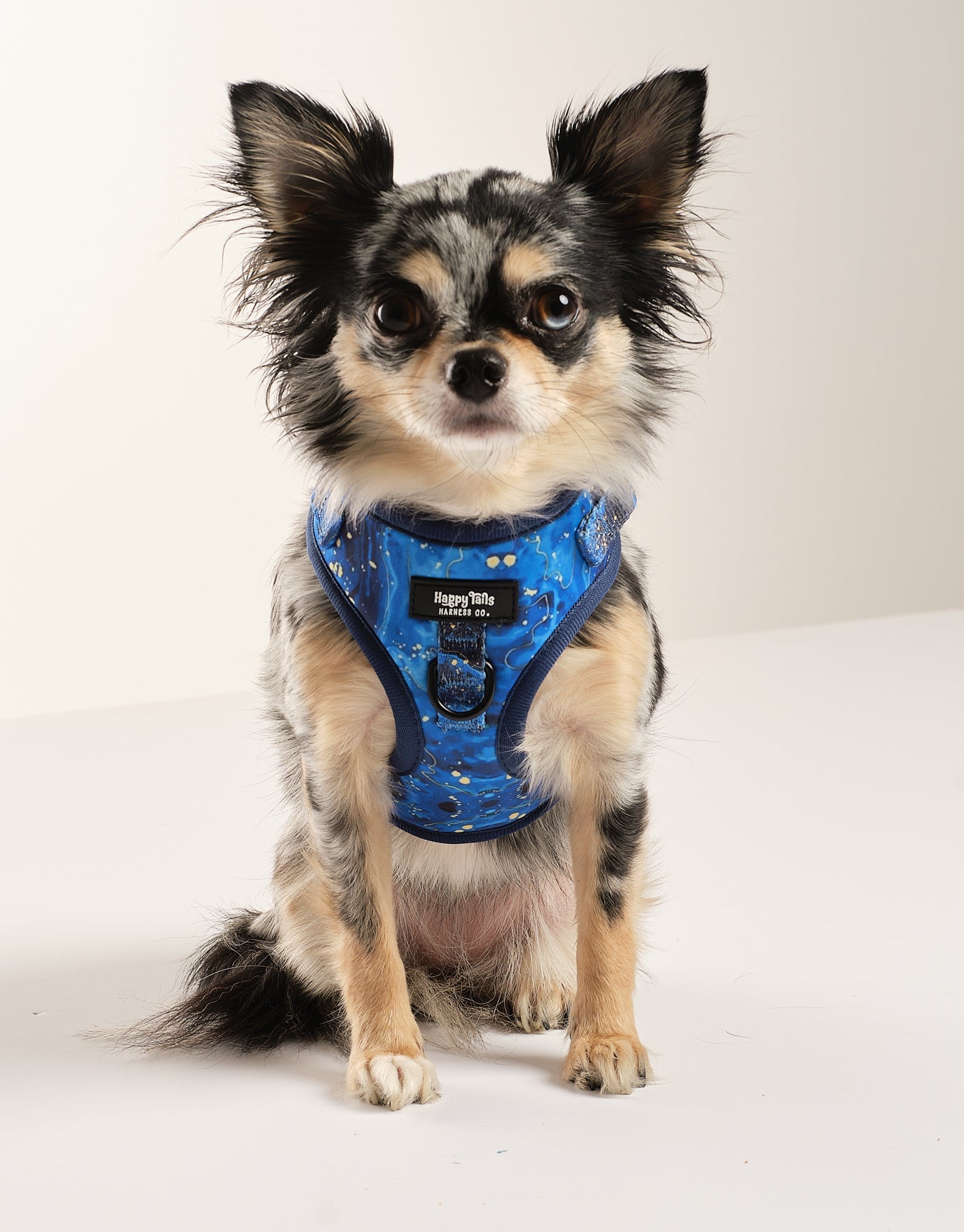 Galaxy Paws Adjustable Harness
