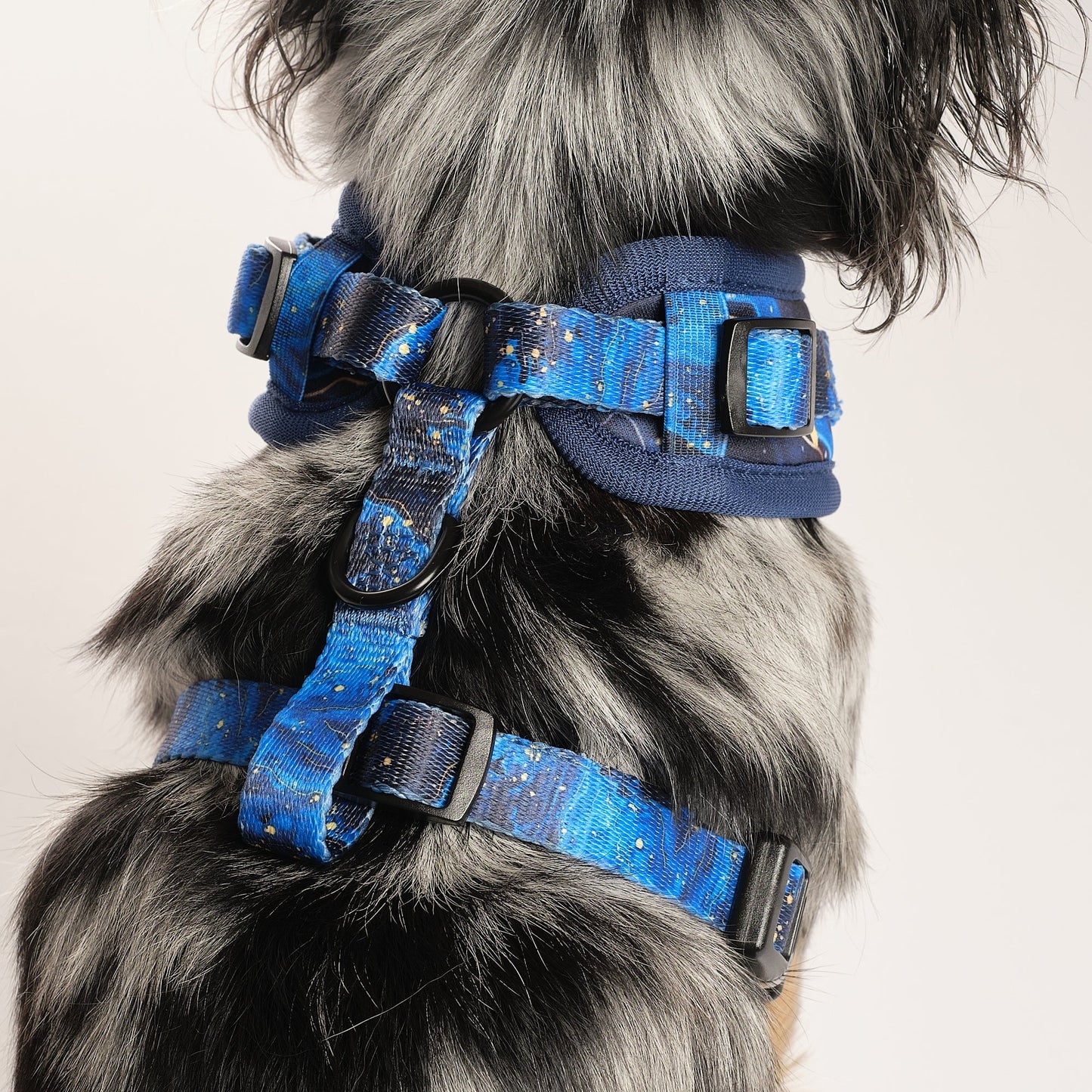 Galaxy Paws Adjustable Harness