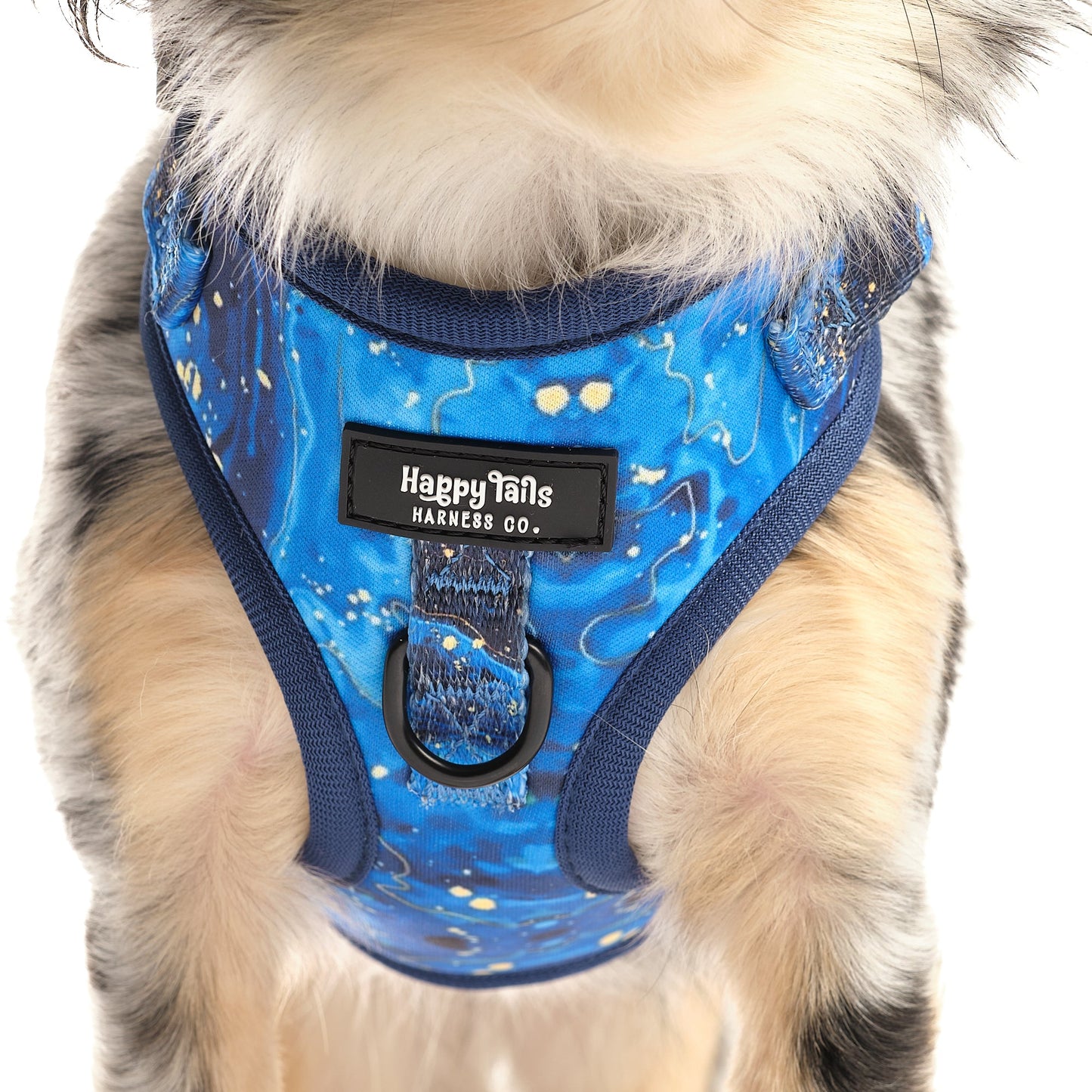 Galaxy Paws Adjustable Harness