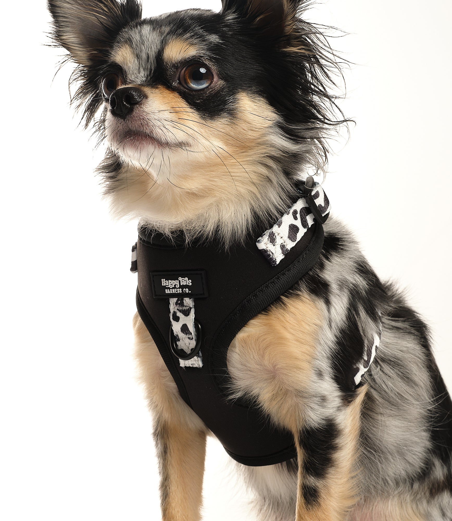 Dairy Dog Adjustable Harness