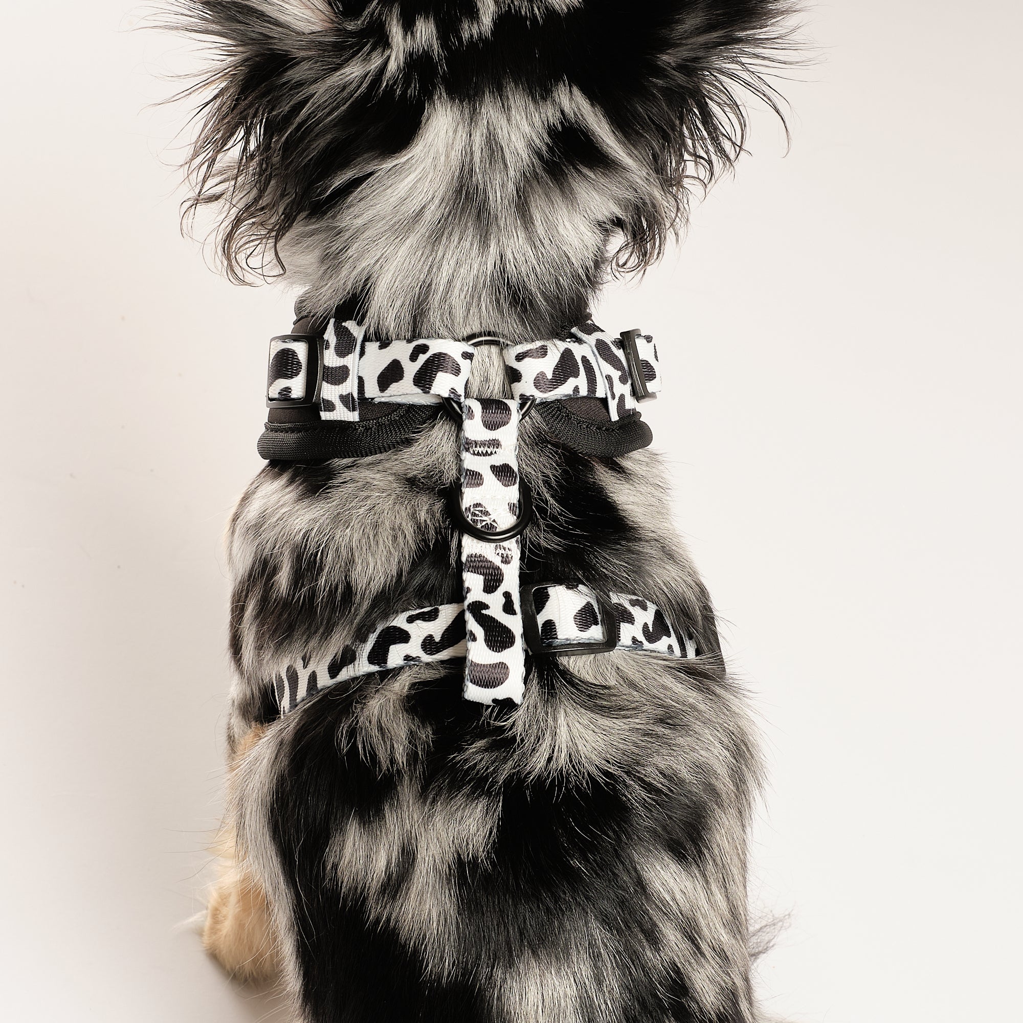 Dairy Dog Adjustable Harness