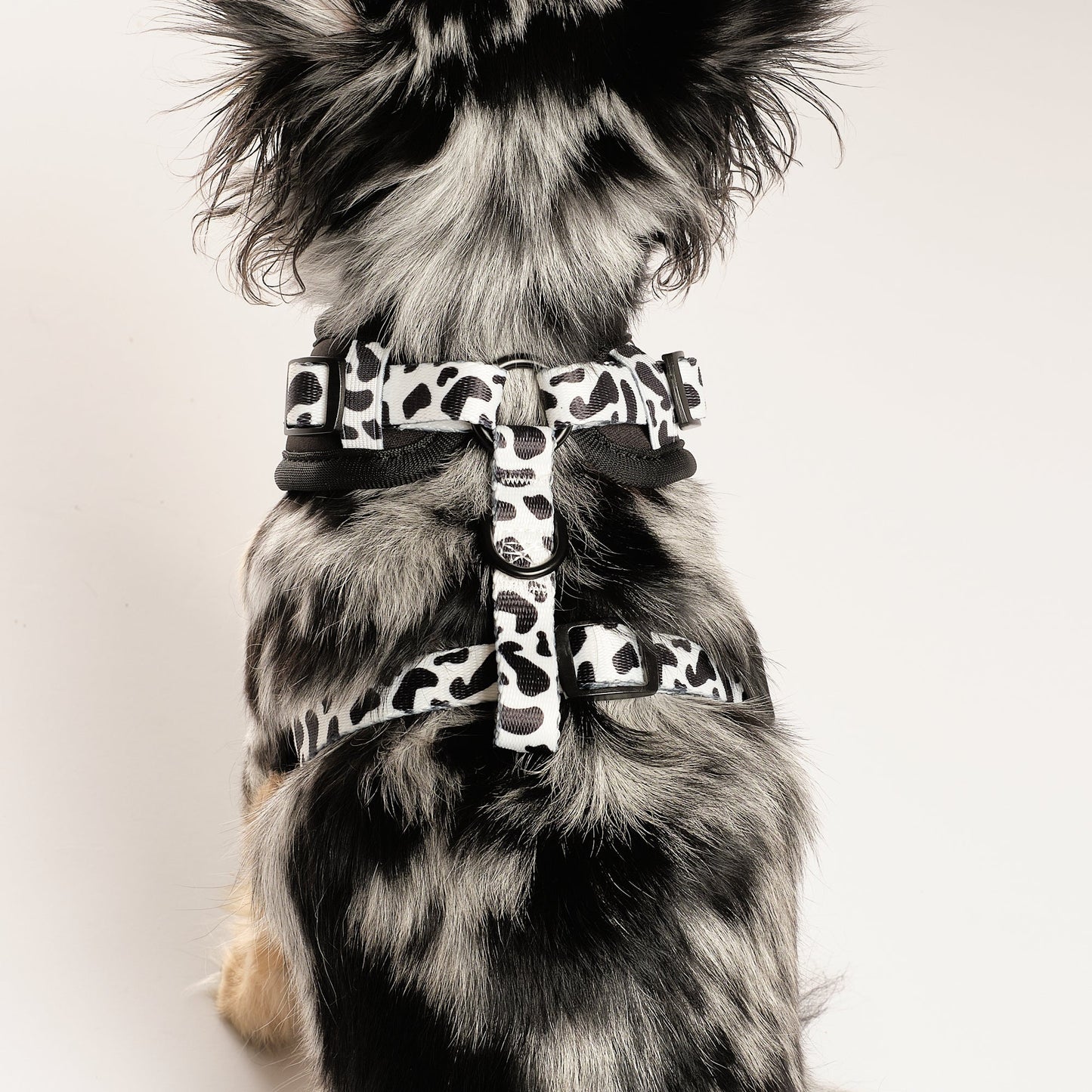 Dairy Dog Walking Set