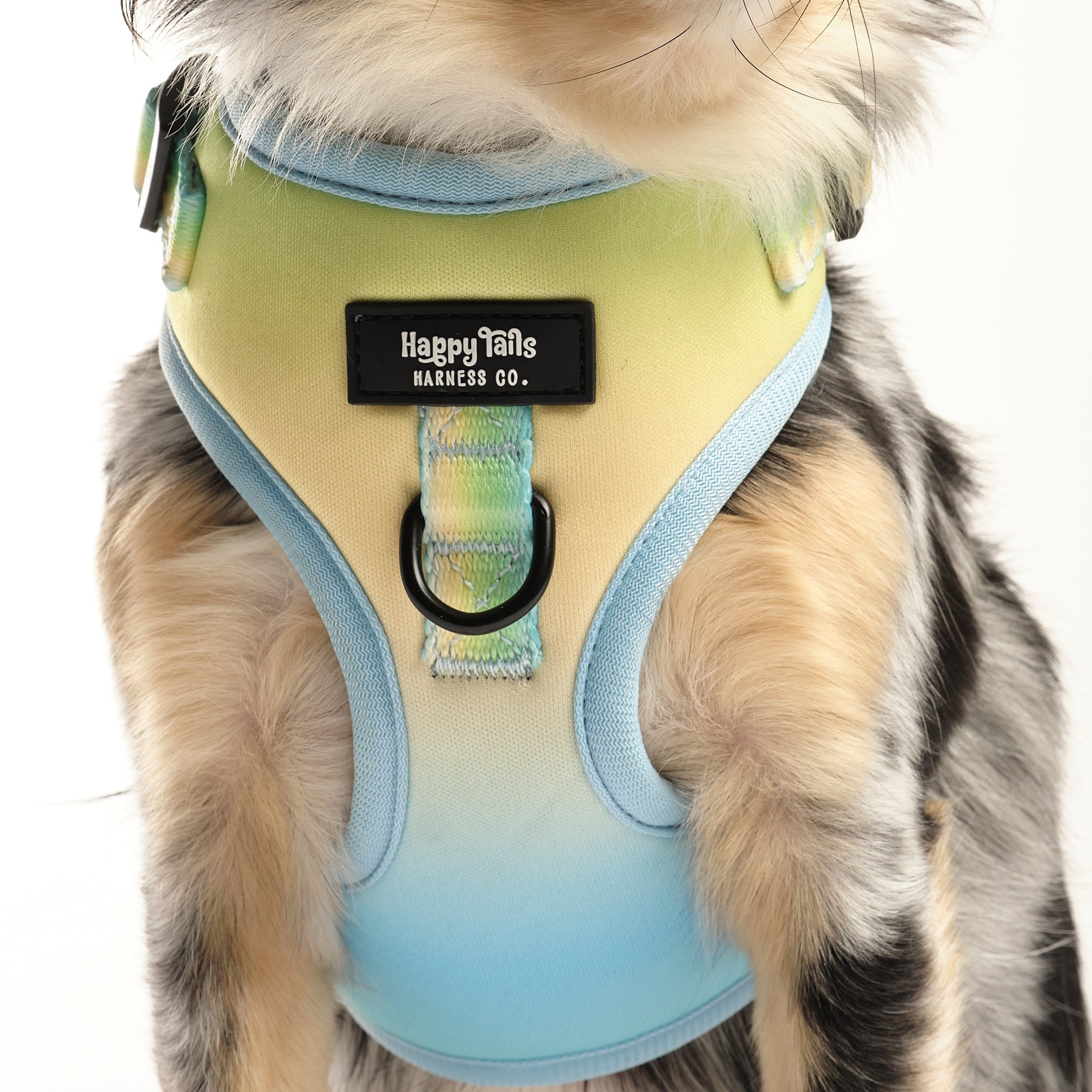Pastel Breeze Adjustable Harness