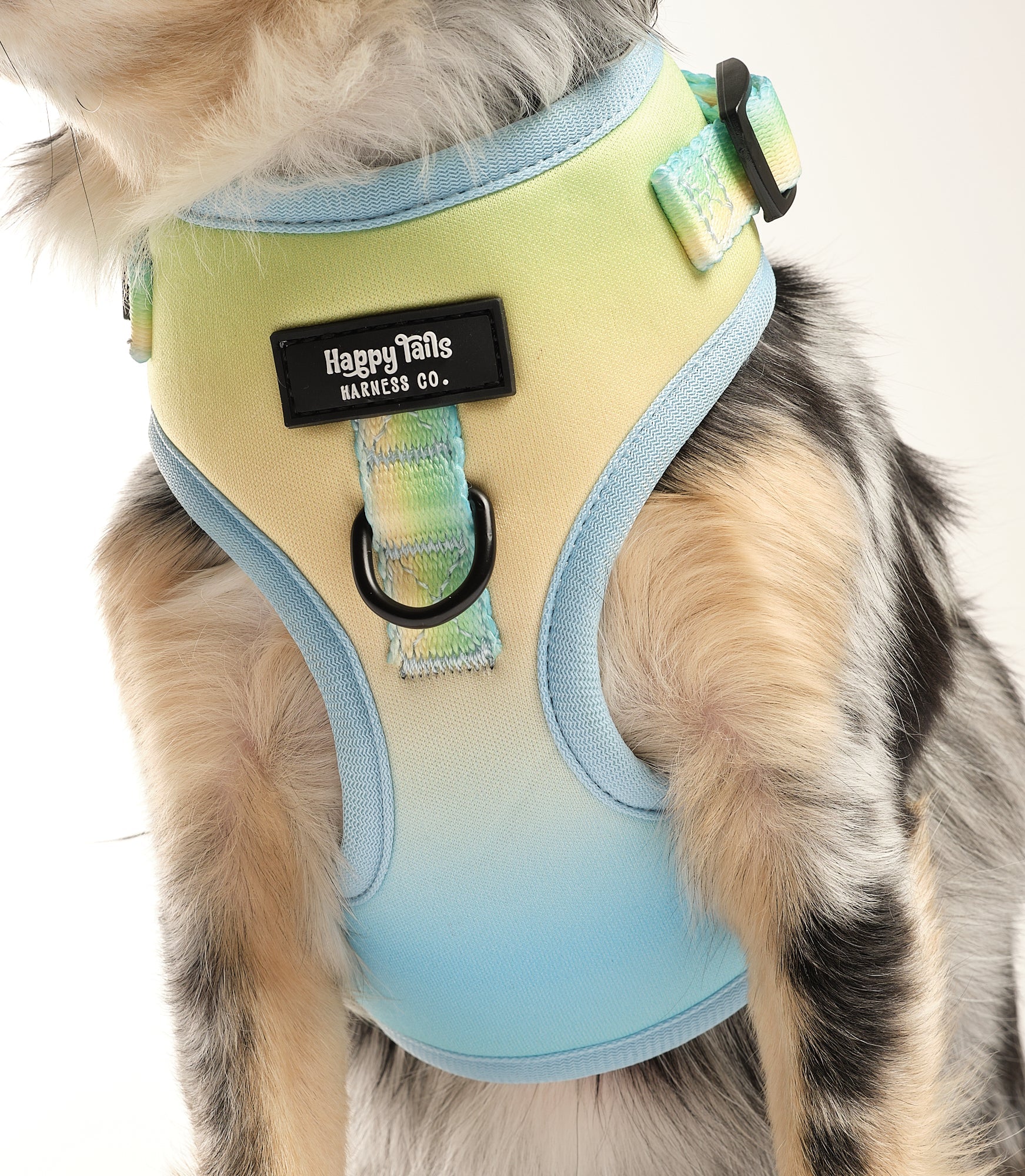 Pastel Breeze Walking Set