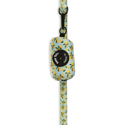 Lemon Drop Walking Set