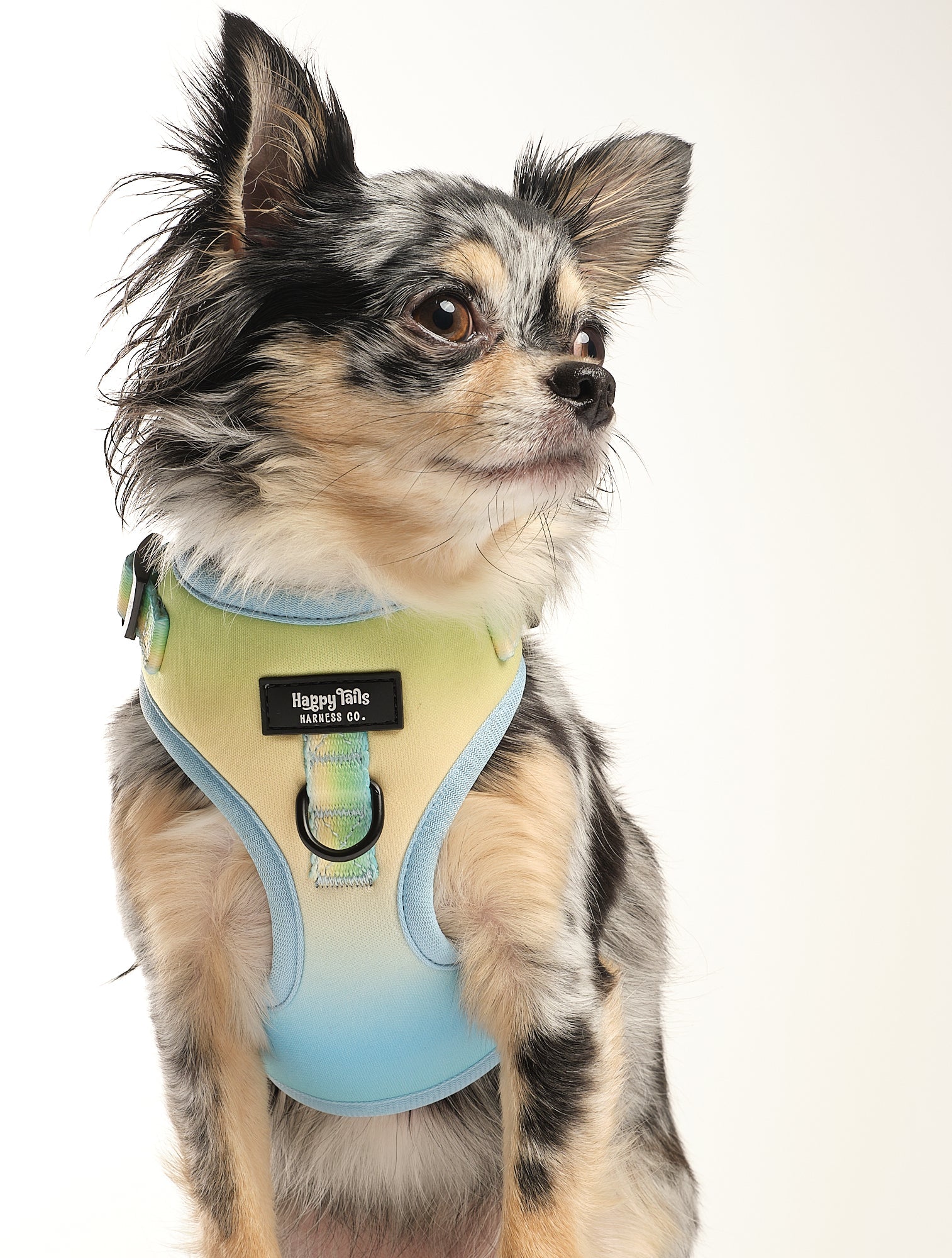 Pastel Breeze Adjustable Harness