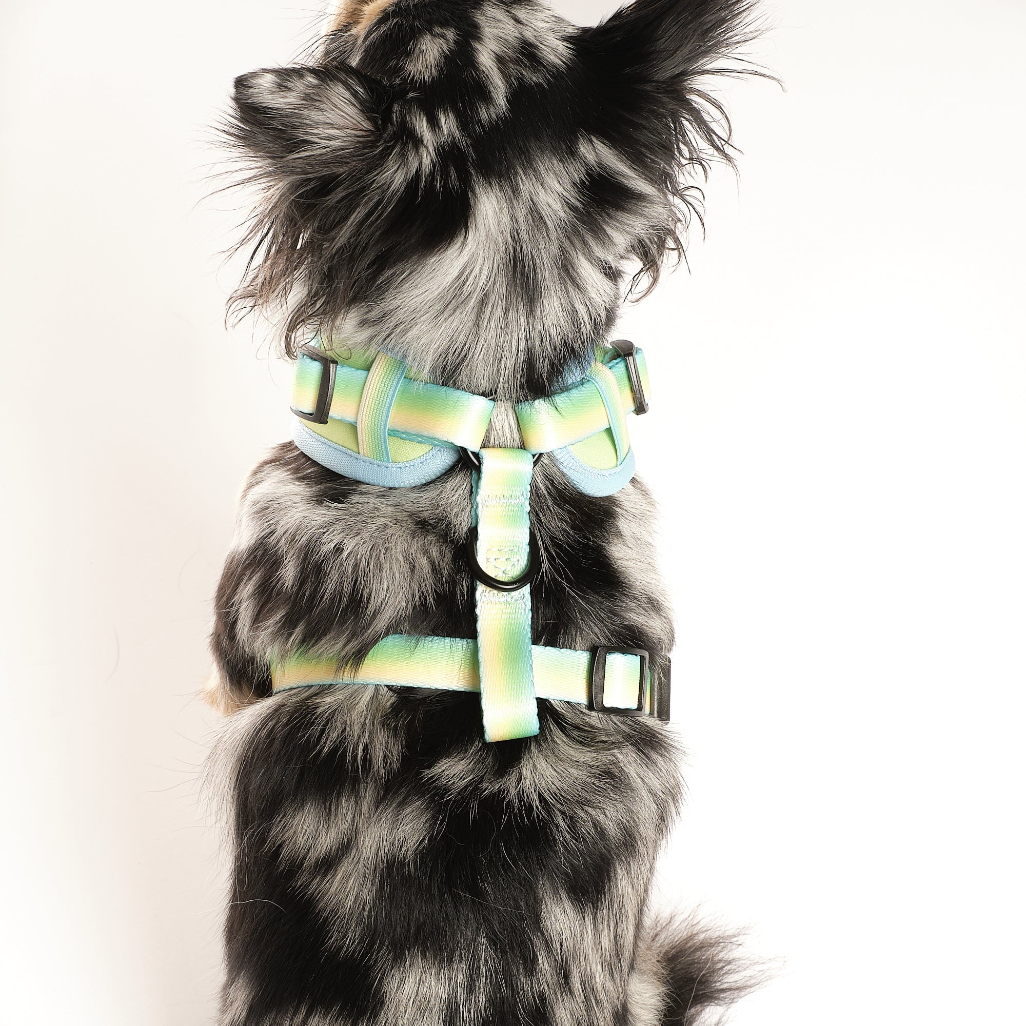 Pastel Breeze Walking Set