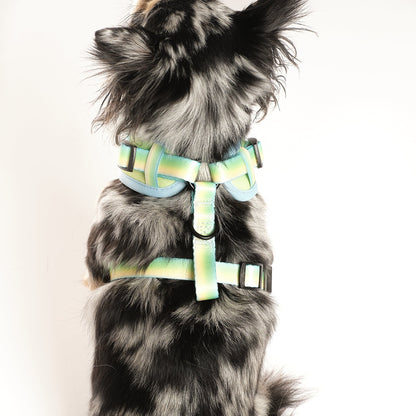 Pastel Breeze Walking Set