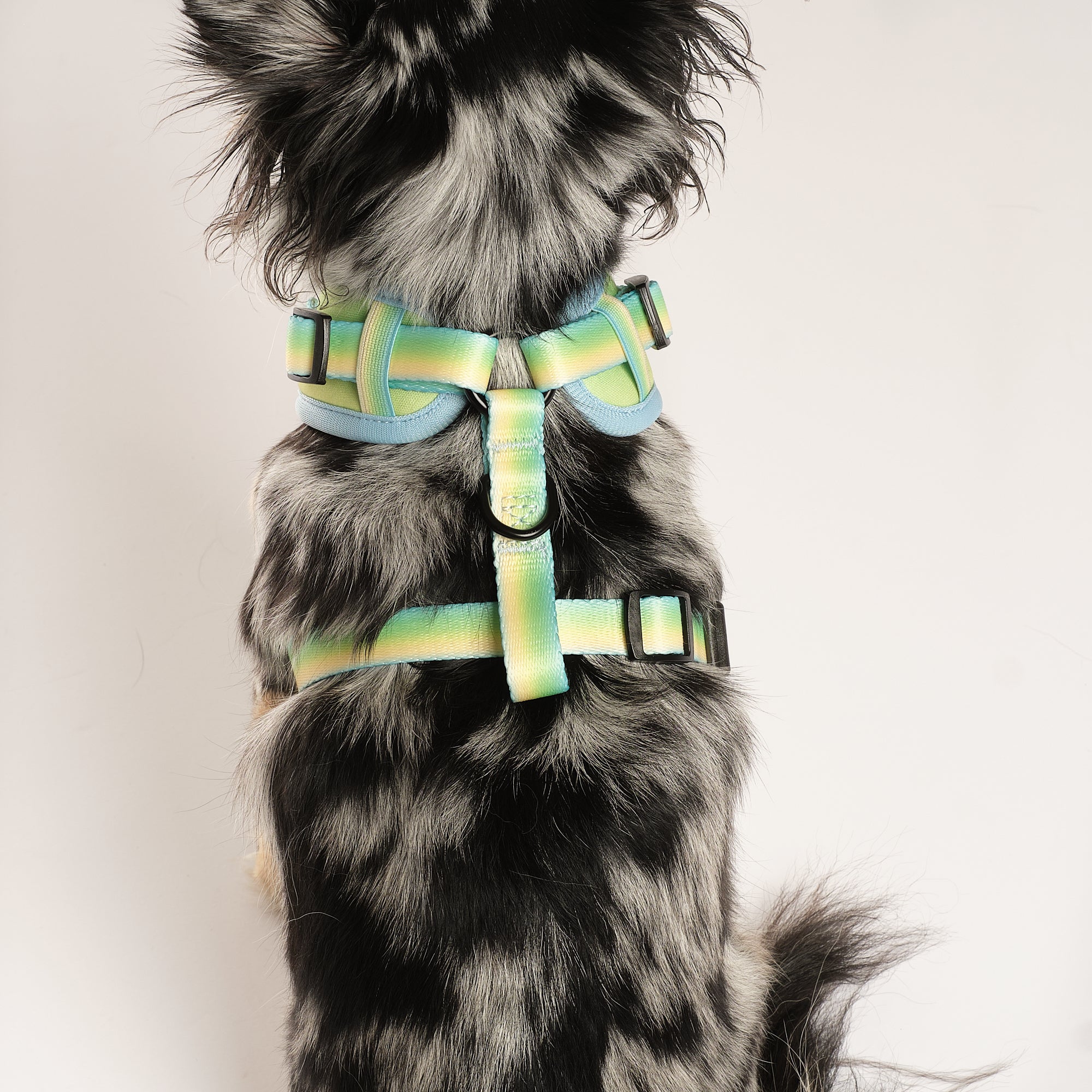 Pastel Breeze Adjustable Harness